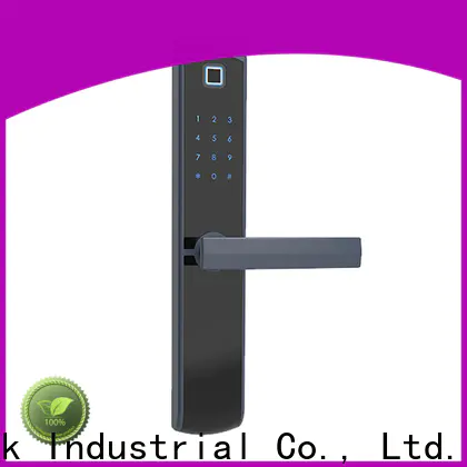 Top smart keypad deadbolt tdt1330 supplier for Villa