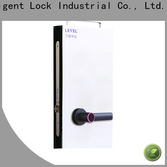 Level zinc hotel door lock software promotion for Villa