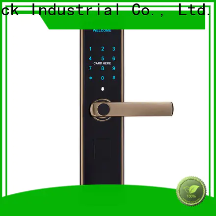 Level tdt1380 schlage coded door locks wholesale for Villa
