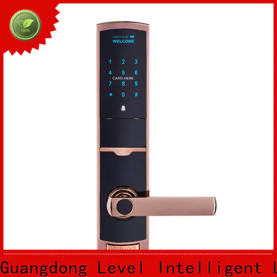 Level Best outdoor electronic door lock factory price for home