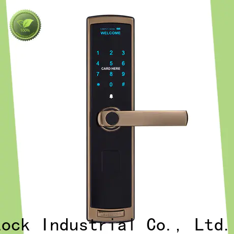 Level New digital door handle lock factory price for Villa