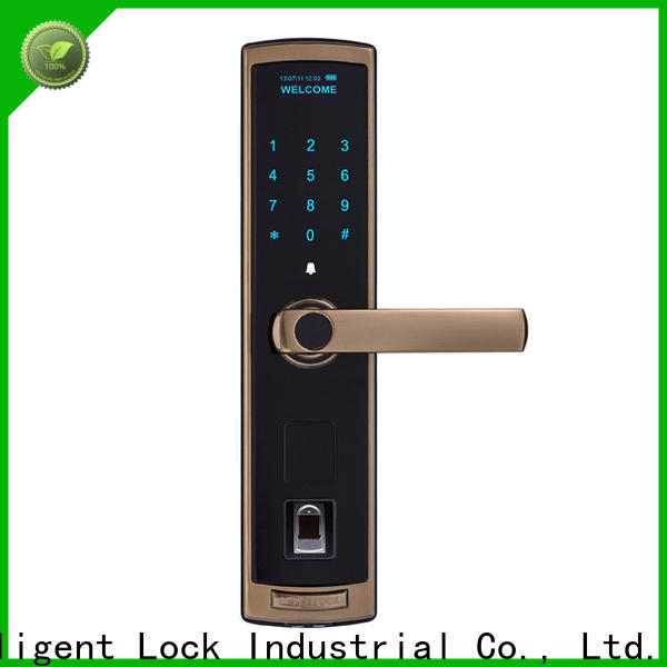 Level New electronic entry door locks with remote supplier for home