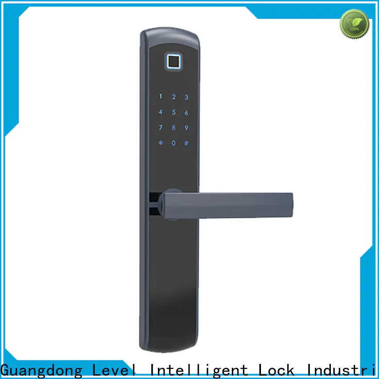 High-quality glass door lock sus304 factory price for home