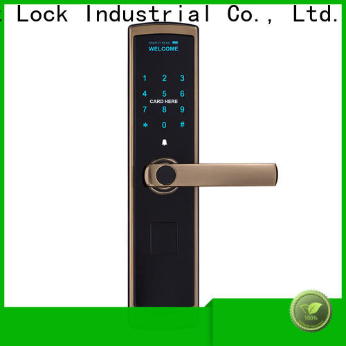 Level High-quality keyless gate lock supplier for Villa