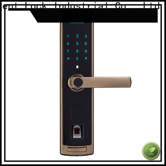 Best electronic door knob lock with remote control black wholesale for Villa