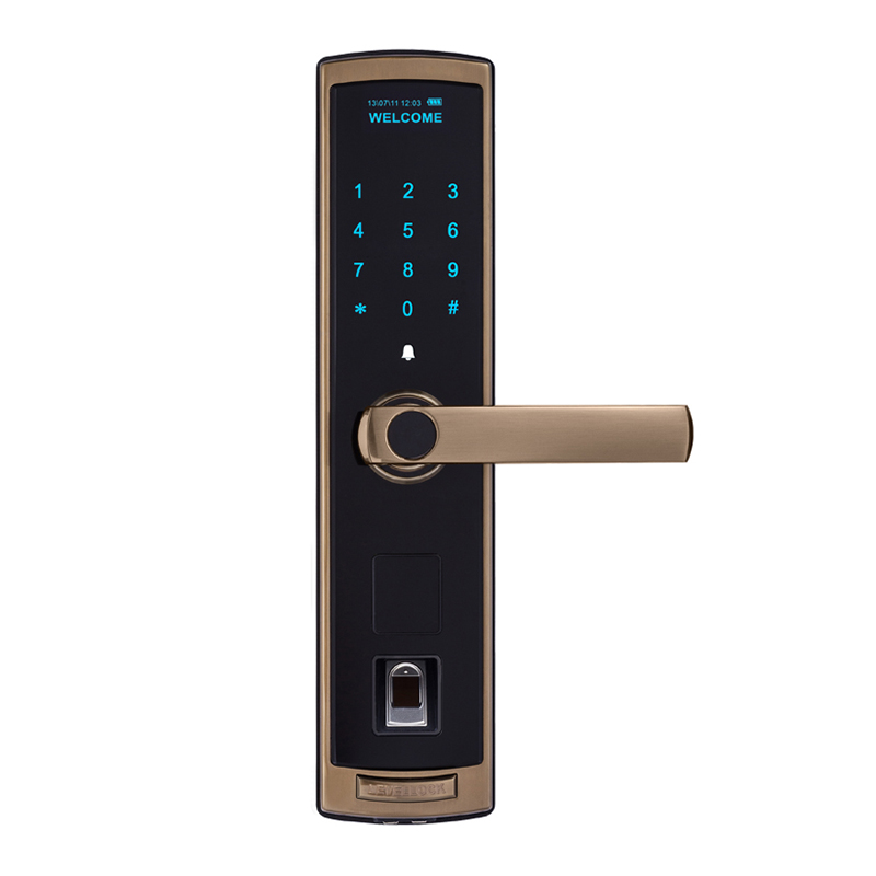 Level bridgecut electronic deadbolt keyless entry door lock supplier for home-1