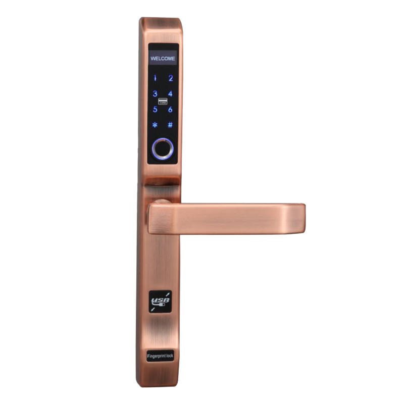 Level keyless wireless electronic door locks for homes wholesale for apartment