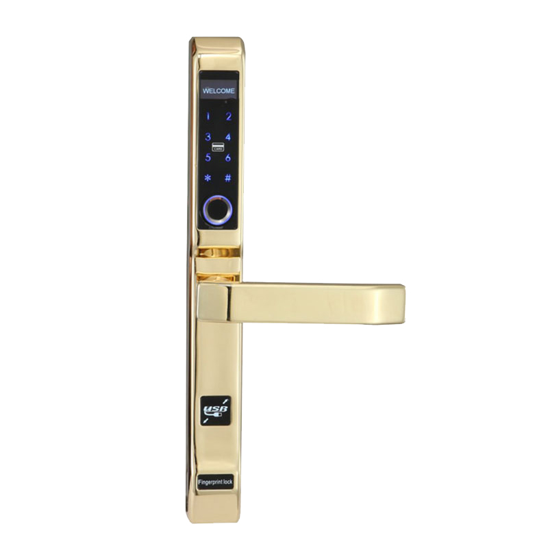 Level Custom digital door lock set factory price for Villa-2