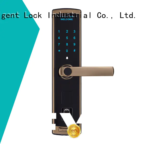 Level high quality fingerprint door locks for home supplier for residential