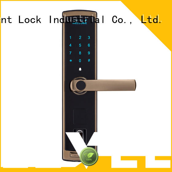 painting code door lock style for home Level