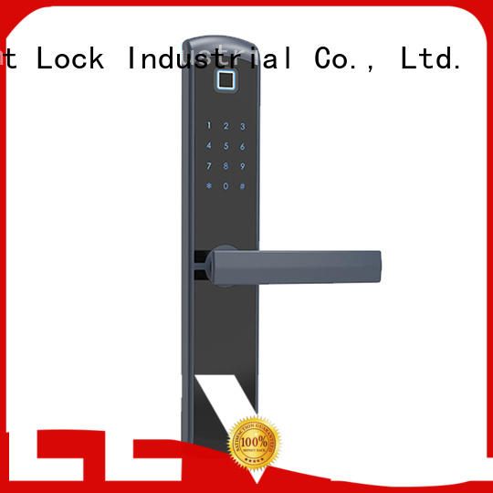 Level mdtm12 smart home locks supplier for residential