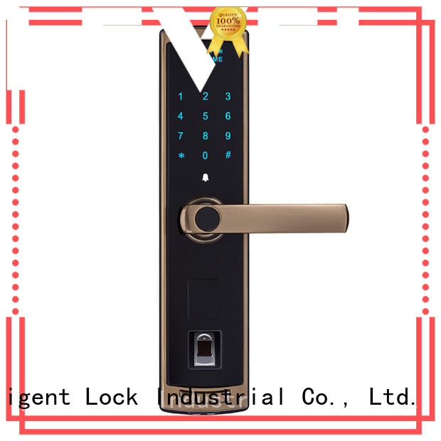 Level best smart card lock intelligent for apartment