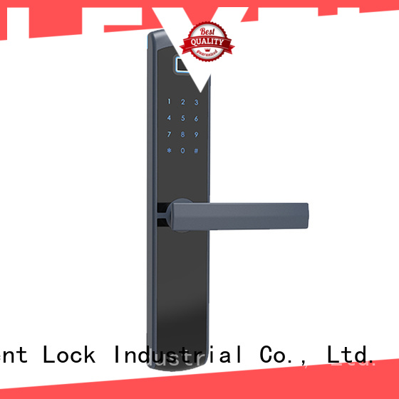 Level keyless intelligent lock supplier for Villa