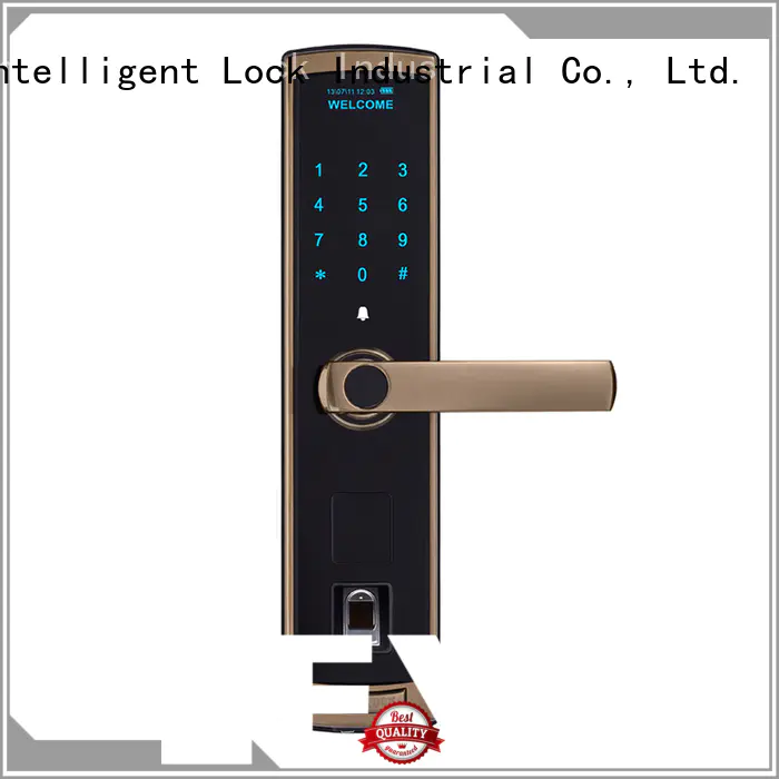 Level black password lock on sale for residential