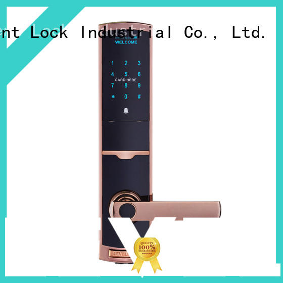 Level keyless intelligent lock factory price for Villa